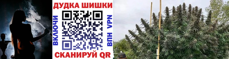 Бошки марихуана OG Kush блэк спрут ONION Туран